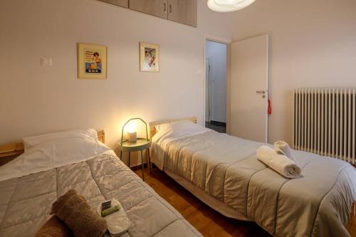 City view roof top apt 10min from Acropolis museum