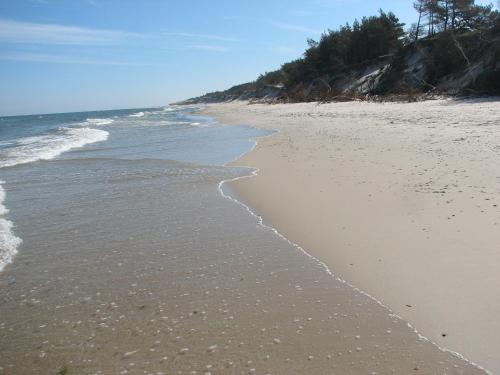 a sandy beach with waves coming in from the ocean at APARTAMENT NIEBIESKA FALA in Rowy