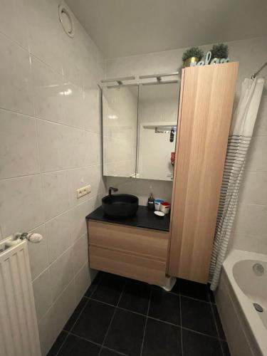 ein Bad mit einem Waschbecken und einem Spiegel in der Unterkunft Des Ambassadeurs in Blankenberge