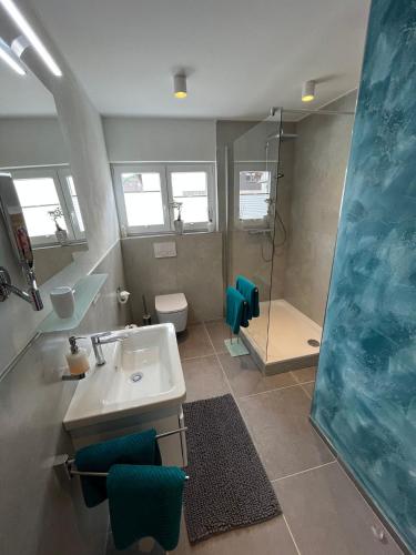 a bathroom with a sink and a toilet and a shower at WEiNECK Altenahr in Altenahr