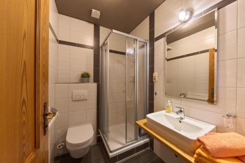 a bathroom with a sink and a shower and a toilet at Landhotel Brauner Hirsch in Kammerforst