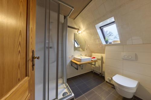 Landhotel Brauner Hirsch في Kammerforst: حمام صغير مع مرحاض ومغسلة
