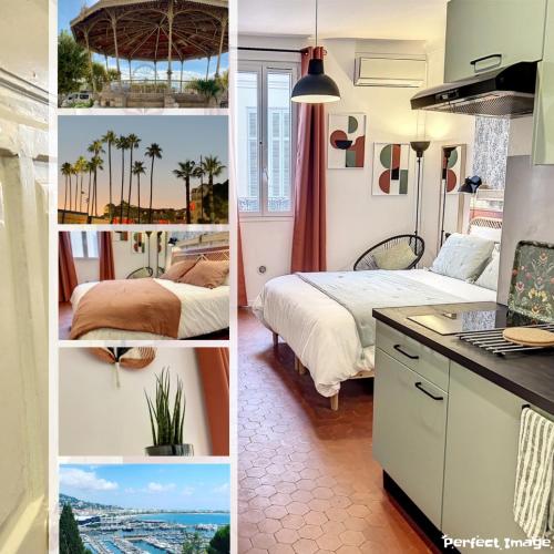 Festival de palmiers, Plages-Congrès, Cocon de Calme au Cœur de Cannes