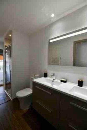 une salle de bain avec un lavabo, des toilettes et un miroir dans l'établissement Fréjus plage 5 minutes de la plage 3 pièces 4/5 p, à Fréjus