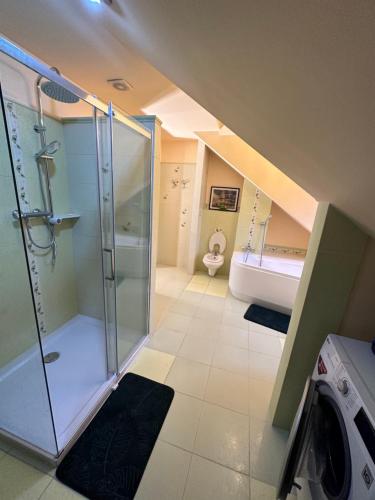 een badkamer met een douche, een toilet en een wastafel bij Rezydencja Pod Platanem 