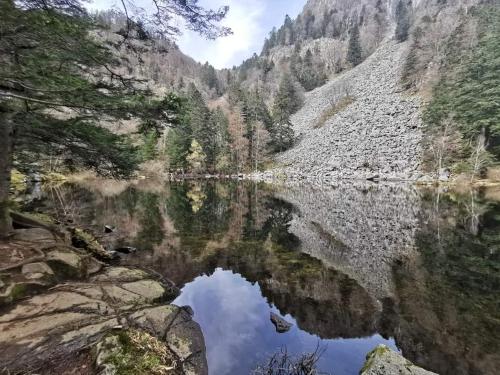a reflection of a mountain in a lake at gîte de rarounette au cœur des Vosges in Celles-sur-Plaine