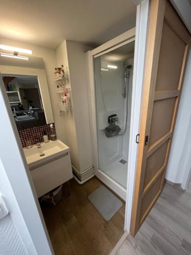 Kúpeľňa v ubytovaní Appartement agréable à Malo proche de la plage