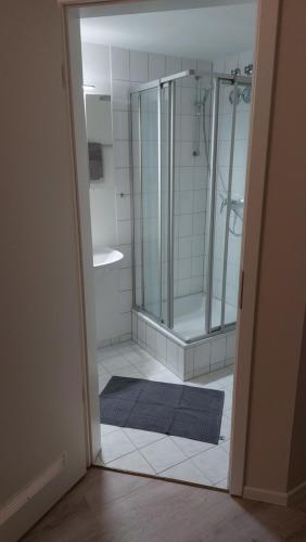 ein Badezimmer mit einer Dusche und einem blauen Teppich in der Unterkunft Ferienwohnung am Stadtwald in Freiberg
