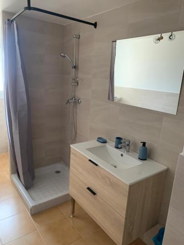 une salle de bain avec un lavabo et une douche avec un miroir dans l'établissement gîte neuf 