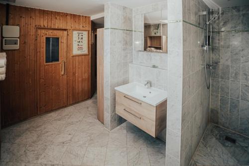 La salle de bains est pourvue d'un lavabo et d'une douche. dans l'établissement Lechpark Hotel, à Untermeitingen