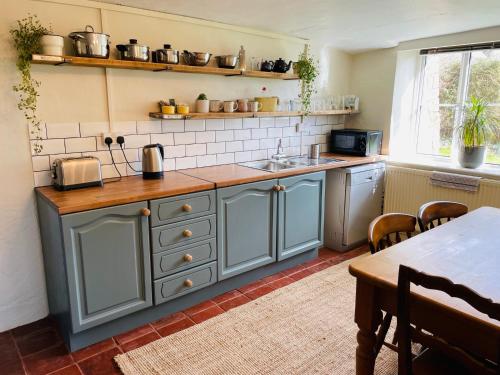 kuchnia z niebieskimi szafkami, zlewem i stołem w obiekcie Elbury Lodge w mieście Exeter