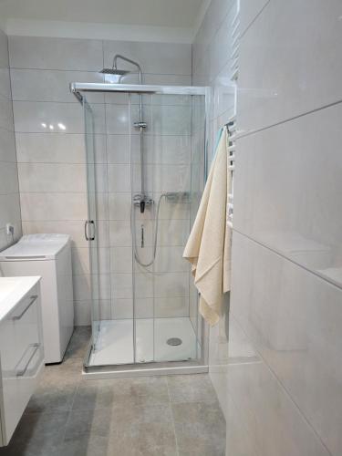 um chuveiro com uma porta de vidro na casa de banho em Apartament Elżbieta em Busko-Zdrój