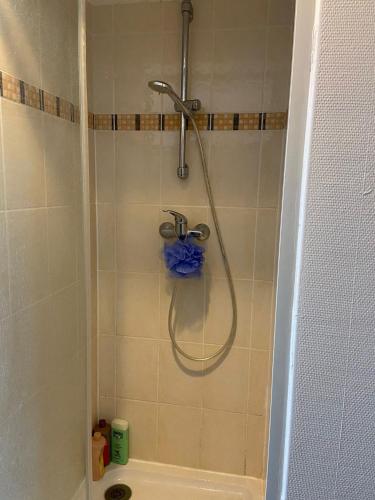 a shower with a hose in a bathroom at Studio meublé à Lyon Centre in Lyon