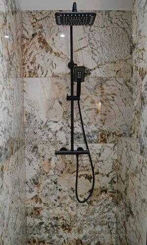 La salle de bains est pourvue d'une douche et d'un mur en pierre. dans l'établissement Casa l'Ortulanu, à Sisco