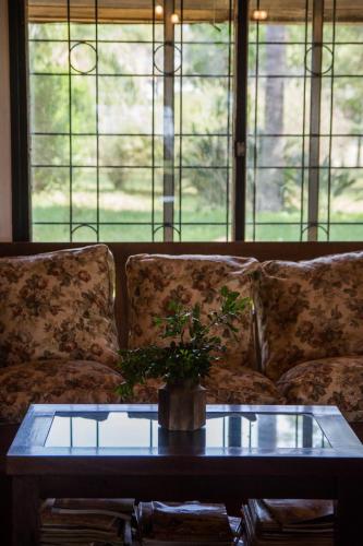 Las Marías, casa de campo – Photos 3