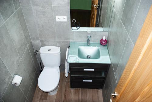 uma casa de banho com um WC branco e um lavatório. em Casa Barranquero em Riglos