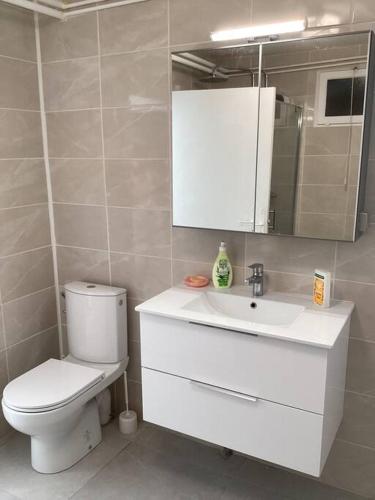 une salle de bain avec toilettes, lavabo et miroir dans l'établissement La plage à 8mn à pied, à Saint-Raphaël