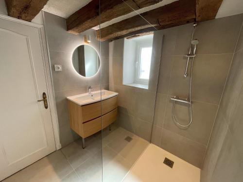 ein Bad mit einer Dusche, einem Waschbecken und einem Spiegel in der Unterkunft Le Relai de Boissée in Blois