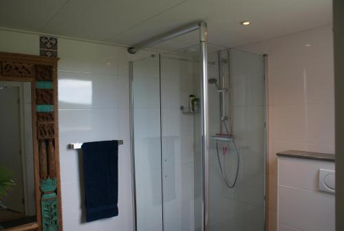 a bathroom with a shower with a blue towel at De Weelen in Lutjebroek