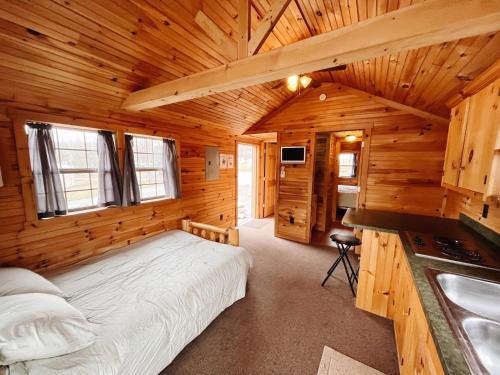 1 dormitorio en una cabaña de madera con 1 cama y lavamanos en Deluxe Cabin6 Within Campground, en Mifflinburg