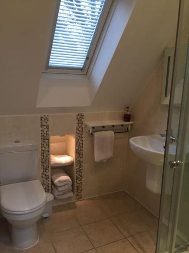 a bathroom with a toilet and a sink and a window at The Loft in Brockenhurst