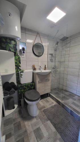uma casa de banho com um WC, um lavatório e um chuveiro em Lake holiday em Sárkeresztes