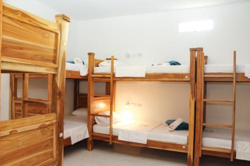 a group of bunk beds in a room at Hostal Casa Torres Centro Historico - Adults Only in Cartagena de Indias