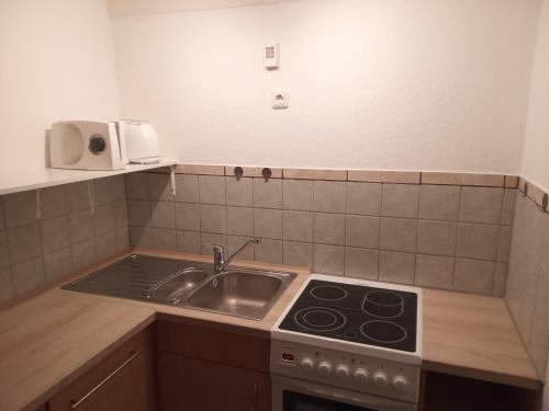 uma cozinha com um lavatório e um fogão em Ferienwohnung zum Sebnitzer Hirsch em Sebnitz
