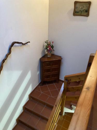 Il bucaneve – Photos 4