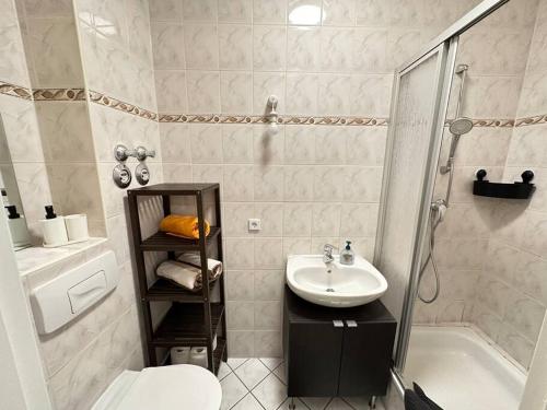 a bathroom with a sink and a toilet and a shower at Herrliches wohnen mit Teichblick in Altenburg