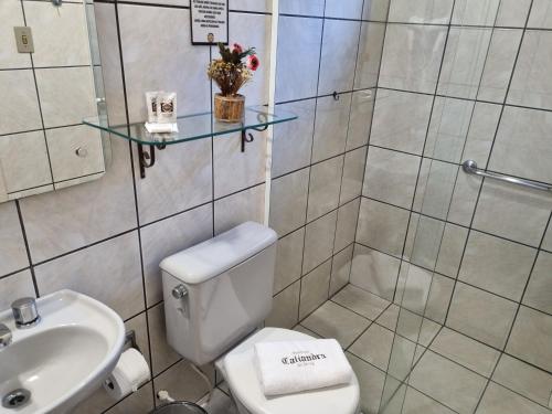 a bathroom with a toilet and a sink at Pousada Caliandra Da Serra in Canela