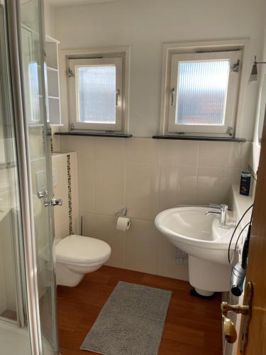 a bathroom with a toilet and a sink at Ferienhaus Nissen-Hütte in Eckernförde