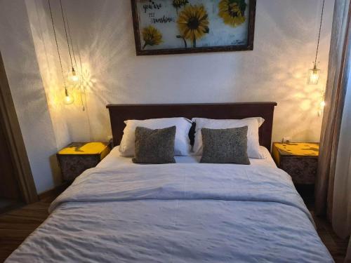 - une chambre avec un grand lit blanc et 2 oreillers dans l'établissement Apartments Klisić, à Bar
