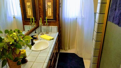 a bathroom with a sink and a mirror at Tropical Retreat Close to Beach in Grover Beach