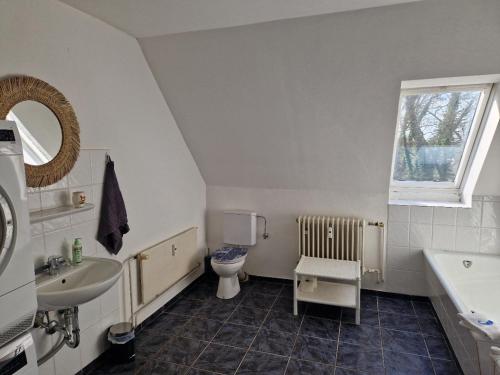 a bathroom with a sink and a toilet and a window at Wohnen am Wasserschloss Sandizell in Schrobenhausen