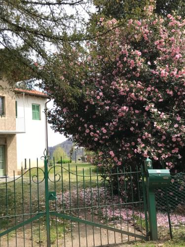 a tree with pink flowers is behind a fence at Appartamento La Camelia in Ameno