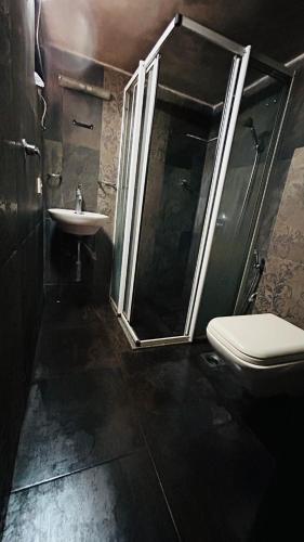 a bathroom with a shower and a toilet and a sink at Muffys Apartment in Old Goa