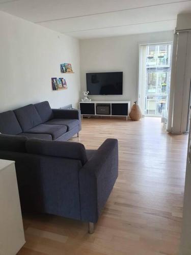 Μια τηλεόραση ή/και κέντρο ψυχαγωγίας στο Apartment with canal view