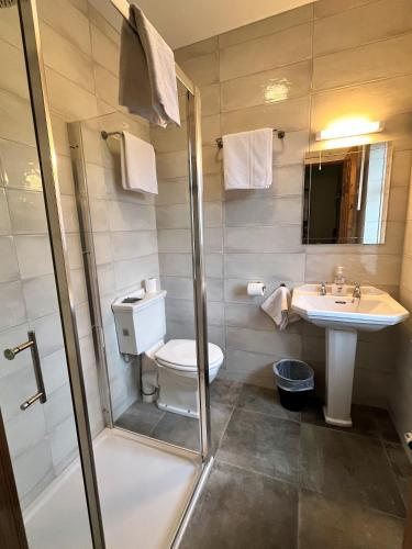 a bathroom with a toilet and a sink and a shower at St Martin's, Rosslare Harbour Guest Accommodation in Rosslare