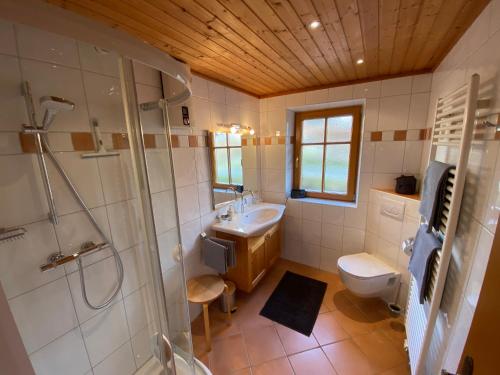 a bathroom with a shower and a sink and a toilet at Ferienwohnung Engl Haus in Altaussee