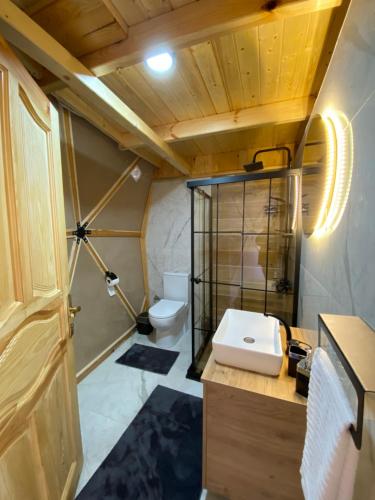 a bathroom with a sink and a toilet at LİMKHONA DOME - CHALET in Çamlıhemşin