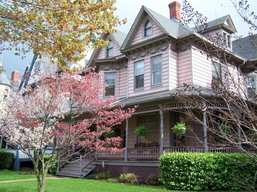 a house with a flowering tree in front of it at Hollerstown Hill Bed and Breakfast in Frederick