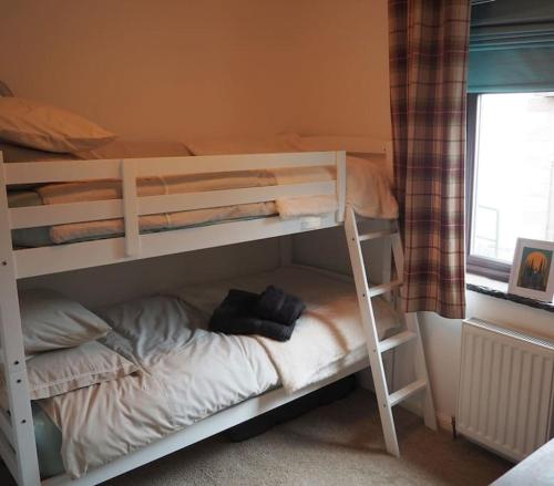a bedroom with two bunk beds and a window at Fern Lodge Angus, Kirriemuir in Angus