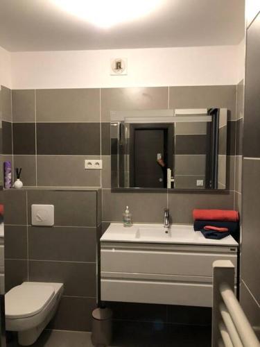 een badkamer met een wastafel, een toilet en een spiegel bij T2 récent climatisé à 100m du port in Propriano