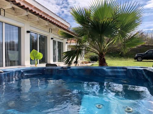 a swimming pool in front of a house with a palm tree at Borbara Apartman in Pázmándfalu