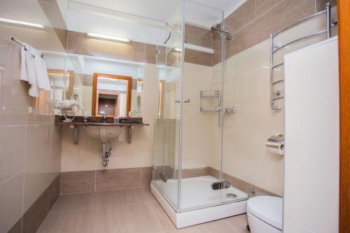 a bathroom with a shower and a toilet and a sink at SPA Amber Palace in Šventoji