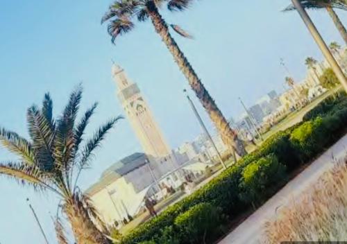 un groupe de palmiers et une tour d'horloge dans l'établissement Sea view apartments, à Casablanca