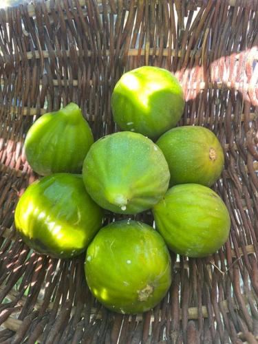 a group of green fruit on a wicker basket at Agriturismo Masseria Cannella in Lesina