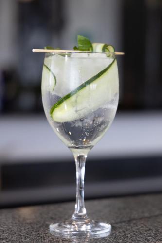 a martini glass with a slice of cucumber in it at TH HOTEL & VIVIENDA in Tepatitlán de Morelos