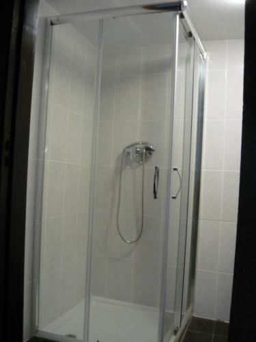 a shower with a glass door in a bathroom at O Zimbrinho in Casal do Rei